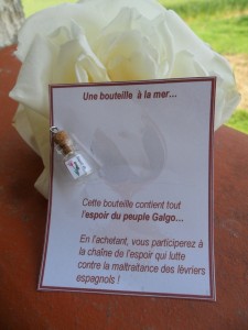 bouteille-a-la-mer-003