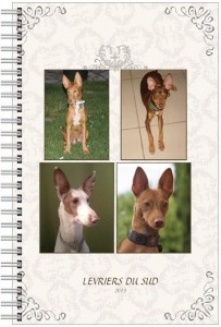 agenda podencos
