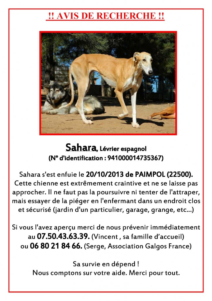 RECHERCHE SAHARA