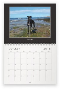 juillet galgo