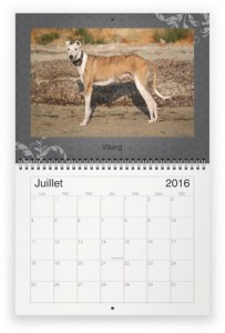 galgo juill