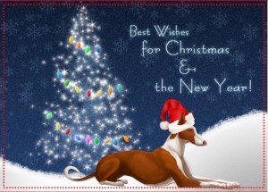 ibizan_hound_christmas_card-r3d9356decca249319eb30317bff8c195_xw03z_1024