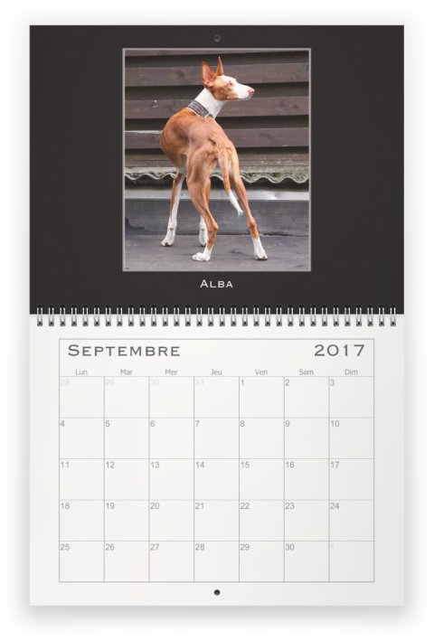 sept-pod