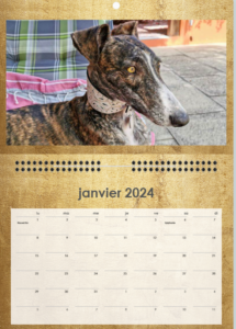 Calendrier 2024 - Chiens Guides du Grand Sud Ouest